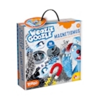 Bild von WOOZLE GOOZLE - Magnetismus