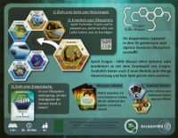 Bild von Ecogon - Stille Wasser (Gaiagames)