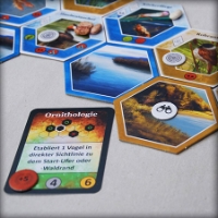 Bild von Ecogon - Stille Wasser (Gaiagames)