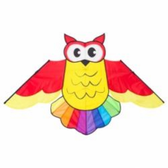 Bild von Drachen Owl Kite