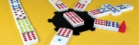 Bild von Mexican Train Domino