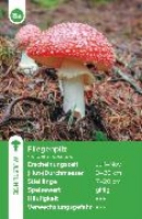 Bild von Einheimische Pilze - das Quartett-Spiel