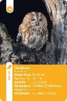 Bild von Einheimische Vogelarten - das Quartett-Spiel