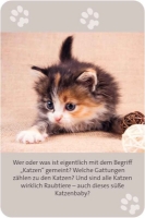 Bild von Das grosse Katzen Quiz