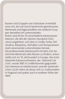 Bild von Das grosse Katzen Quiz