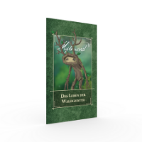 Bild von Mythwind: Das Leben der Waldgeister