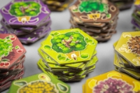 Bild von Click a Tree