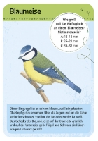 Bild von 50 heimische Vögel