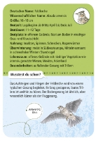 Bild von 50 heimische Vögel